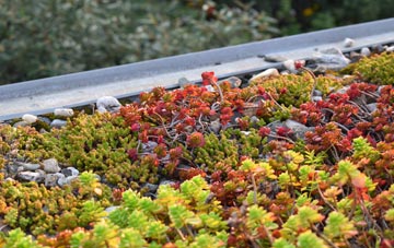 the cost of Lupridge green roof installation