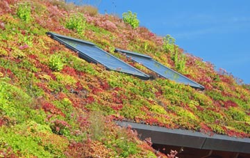 Lupridge living roof systems