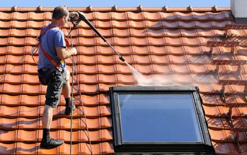 roof cleaning Lupridge, Devon